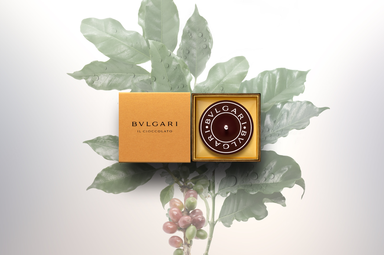 BVLGARI IL CIOCCOLATO オンラインショッピング