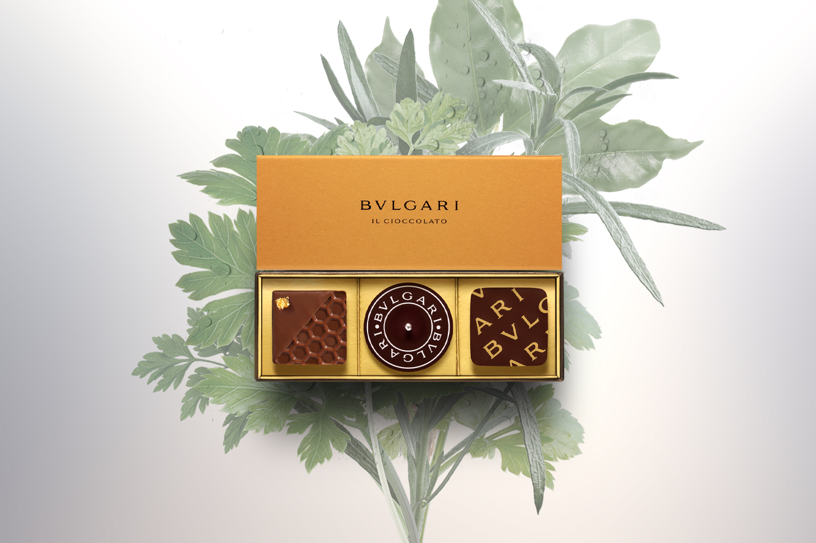 BVLGARI IL CIOCCOLATO オンラインショッピング